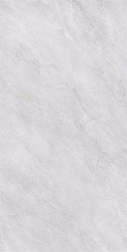 A75CB-P007-布朗尼2