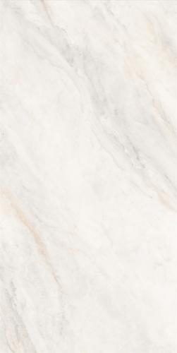 62A-SR001-6