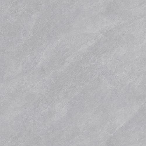 B8A5003-4