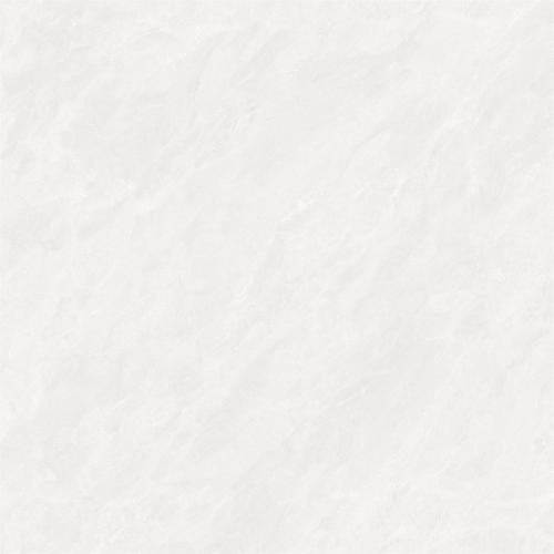 B8A5006-2