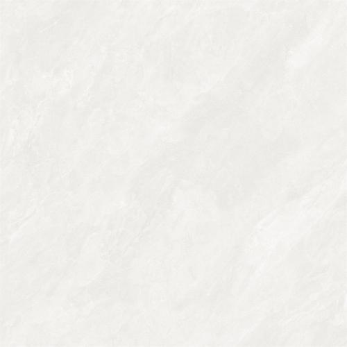 B8A5006-3