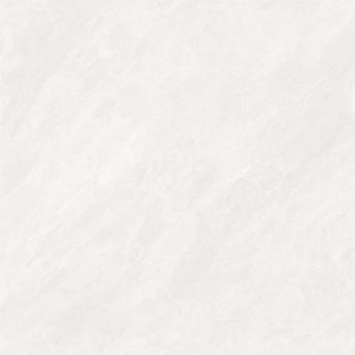 B8A5006-4
